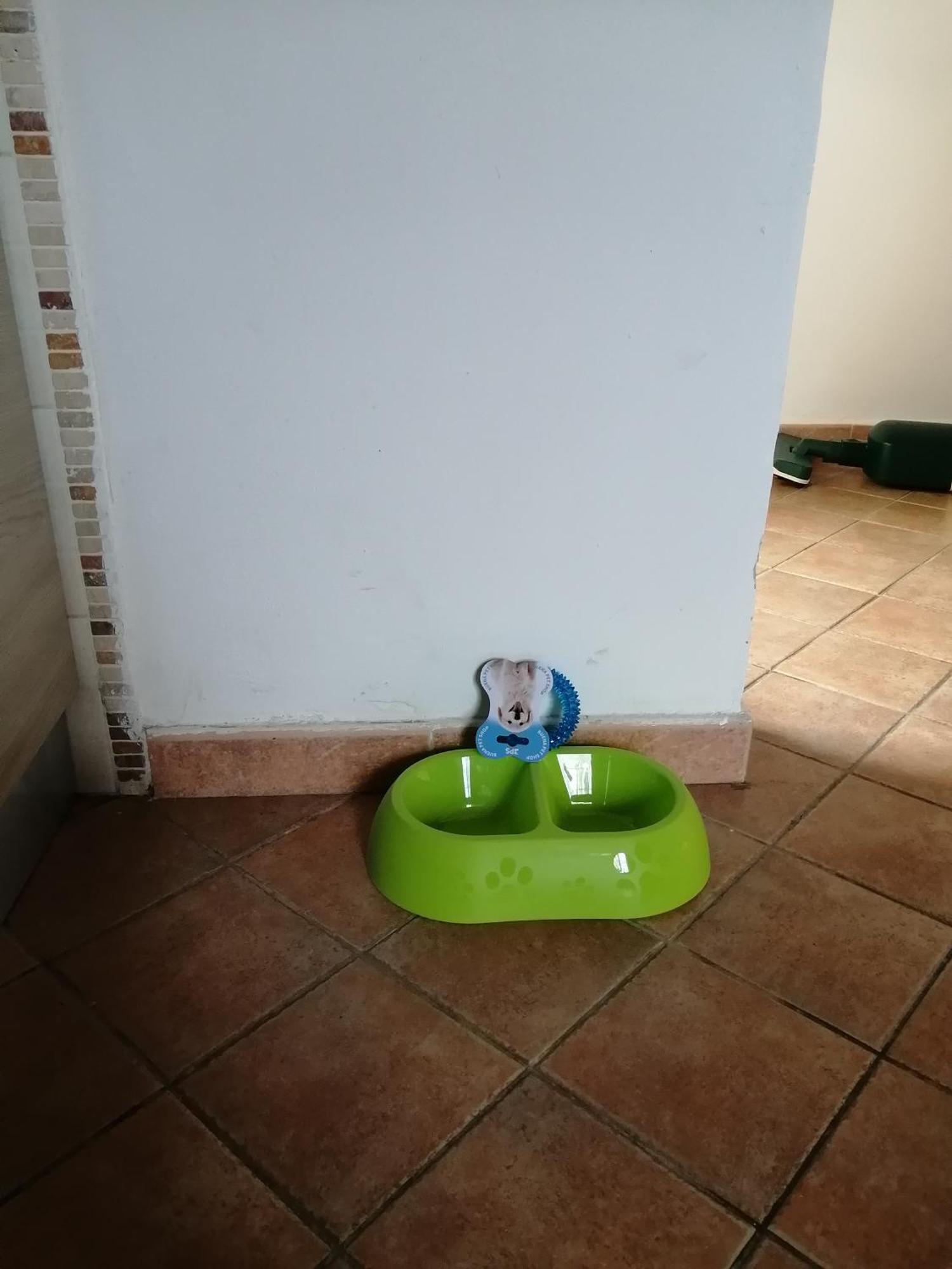 Ferienwohnung A Casa Mia Pisa Exterior foto